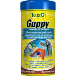 Tetra Guppy