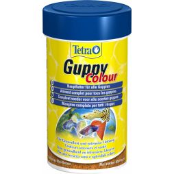 Tetra Guppy Colour